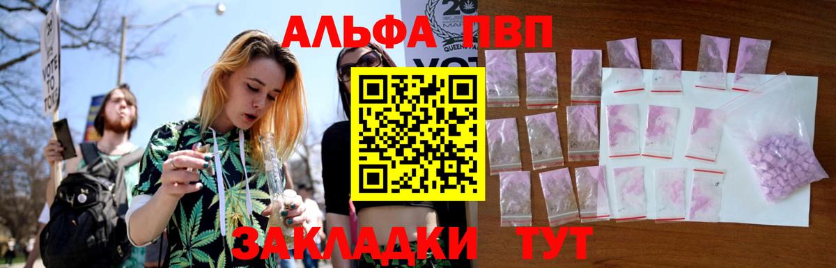 A PVP СК Архангельск