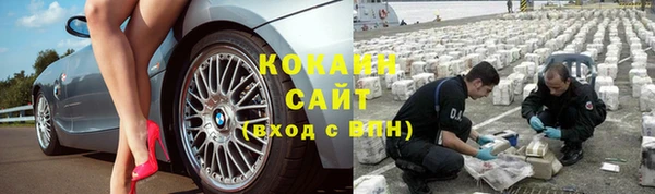 сатива Алексин