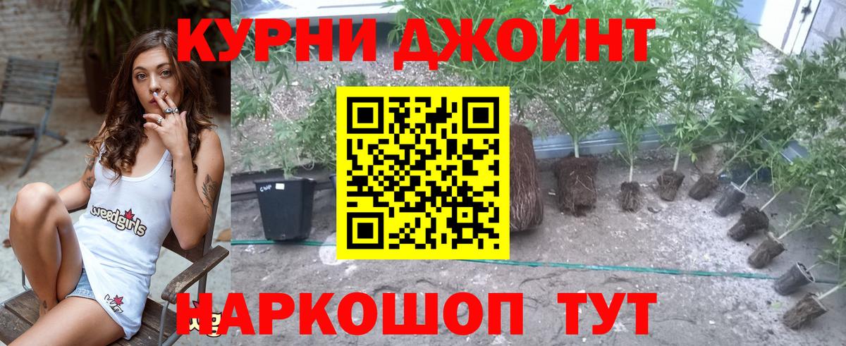 Конопля Bruce Banner  Марихуана план  Архангельск  Марихуана сатива  МАРИХУАНА MAZAR 